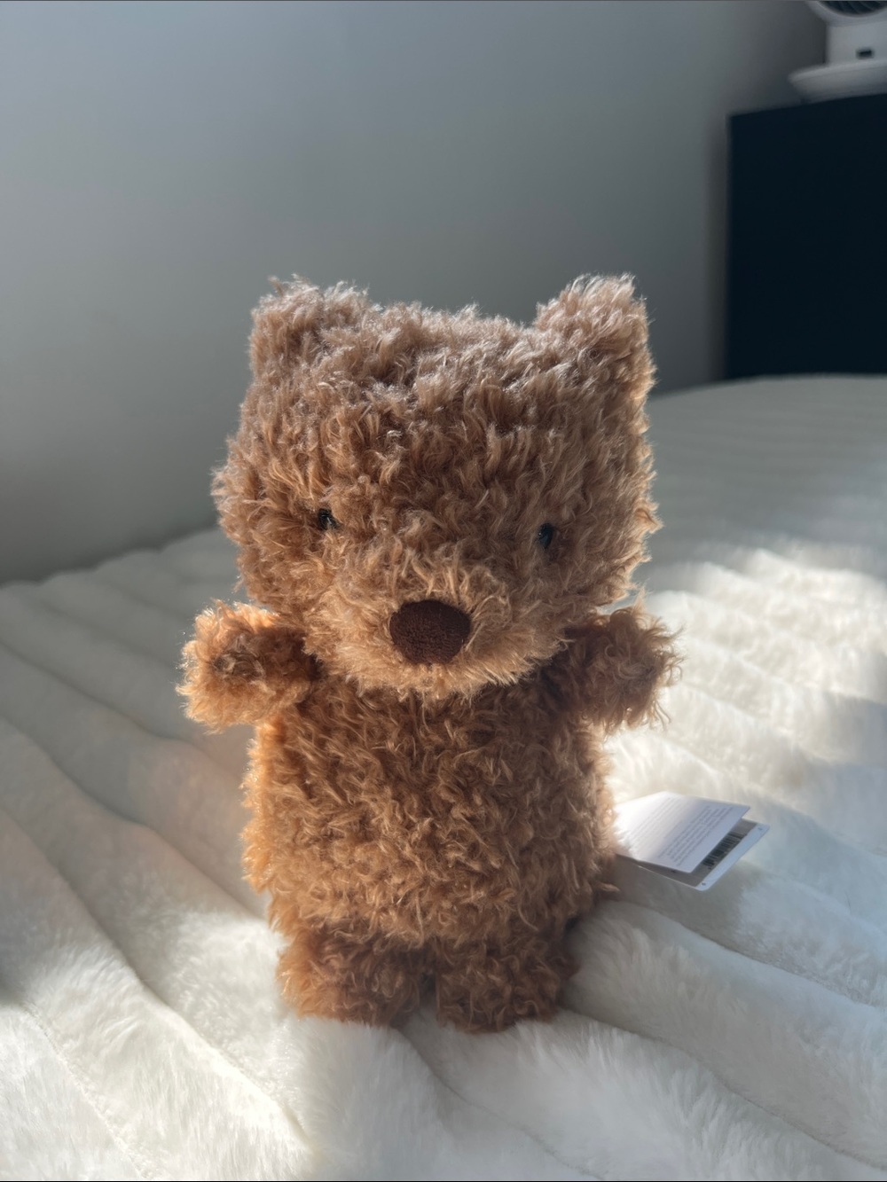 NWT Out of Stock “Little Bear” Jellycat Authentic